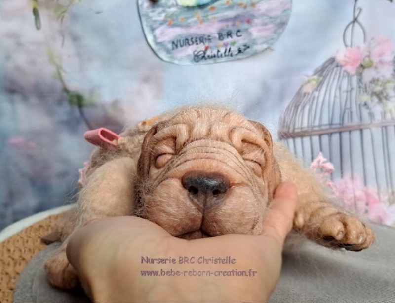 Retriever Nala BRC  (2)